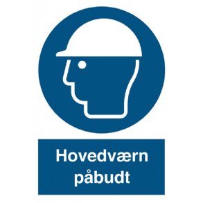 P203 Hovedv�rn p�budt