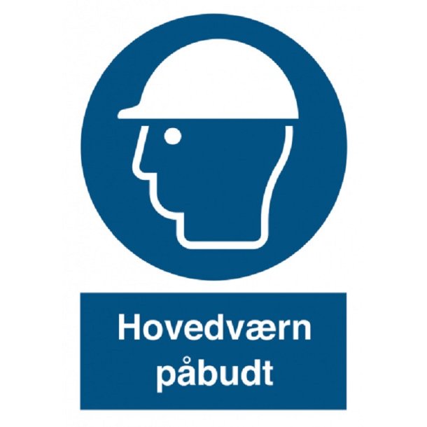P203 Hovedv�rn p�budt