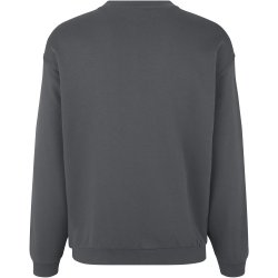 ID 0360 PRO Wear sweatshirt  klassisk Silver grey