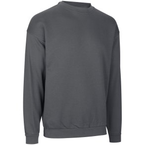 ID 0360 PRO Wear sweatshirt  klassisk Silver grey