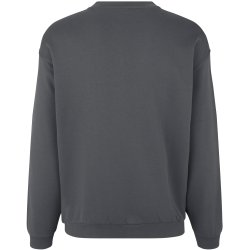 ID 0360 PRO Wear sweatshirt  klassisk Silver grey