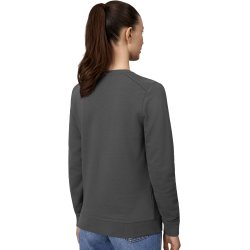 ID 0381 PRO Wear CARE sweatshirt  ubørstet I dame Silver grey