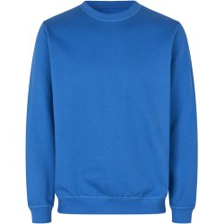 ID 0682 Sweatshirt  kologisk Azur