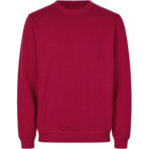 ID 0682 Sweatshirt  kologisk Rd