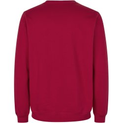 ID 0682 Sweatshirt  kologisk Rd