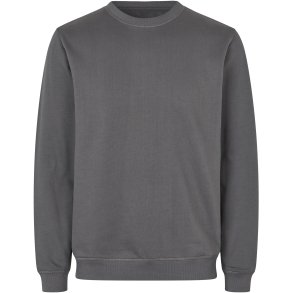 ID 0682 Sweatshirt  kologisk Silver grey