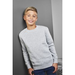 ID 40634 CORE sweatshirt  b�rn Gr� melange
