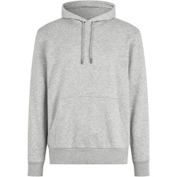 ID 6010 Hoodie �kologisk Lys gr� melange